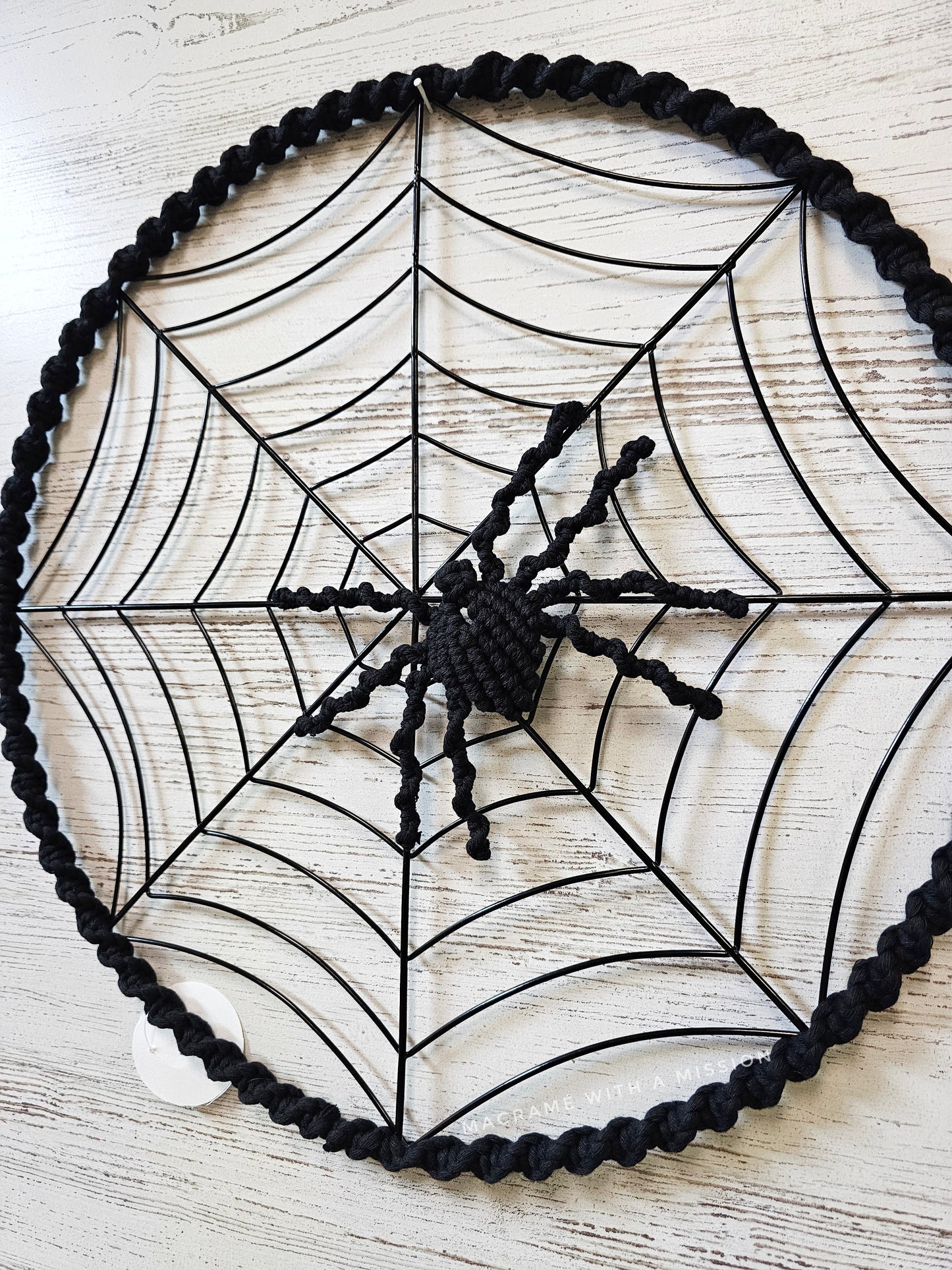 Itsy Bitsy Spider on Web