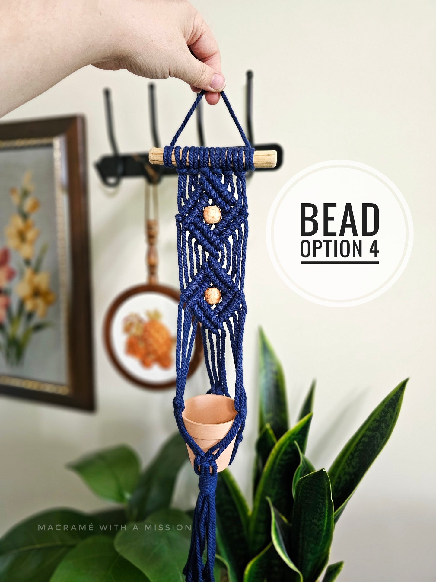 Mini Wall Plant Hanger