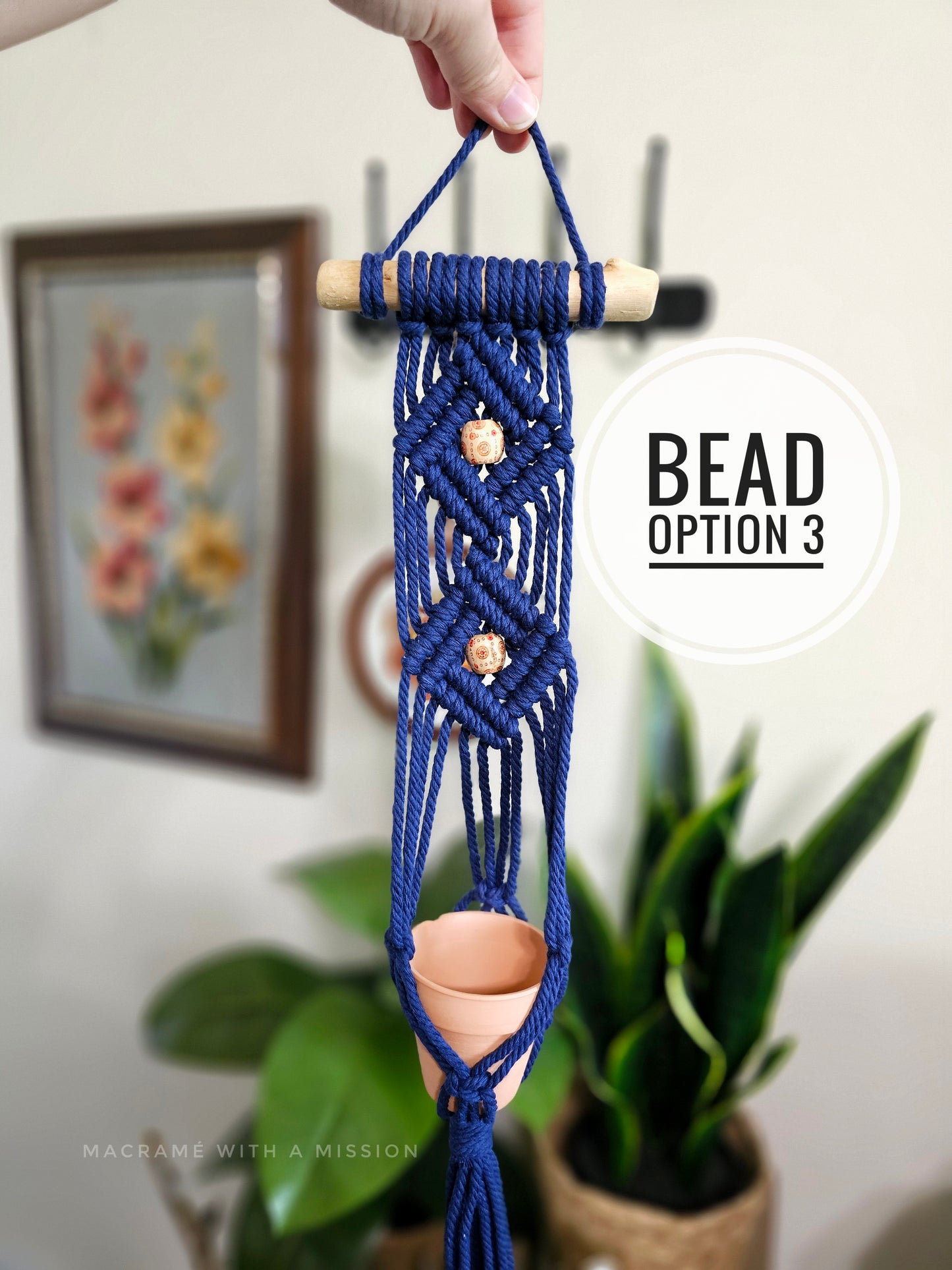 Mini Wall Plant Hanger