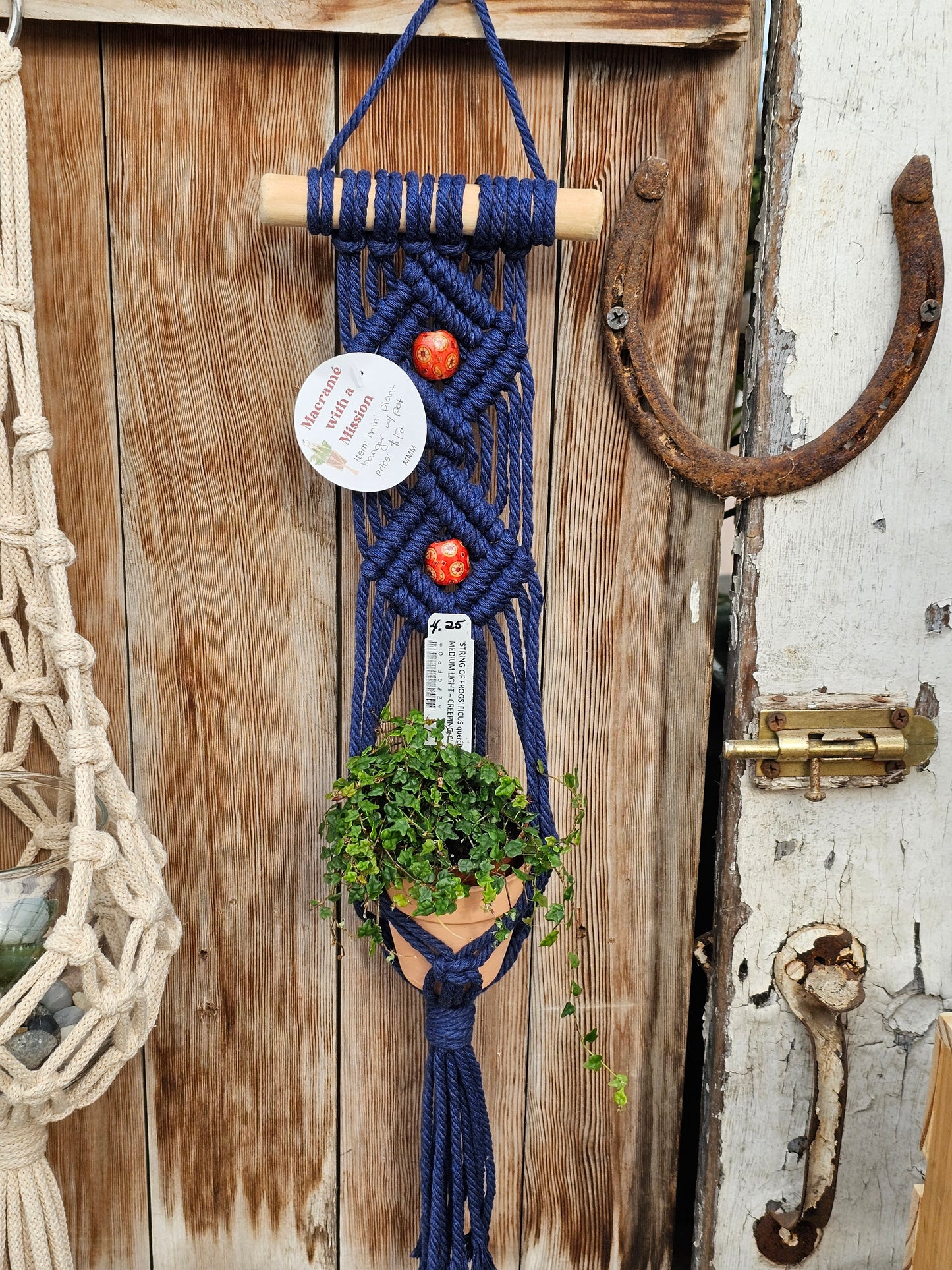 Mini Wall Plant Hanger